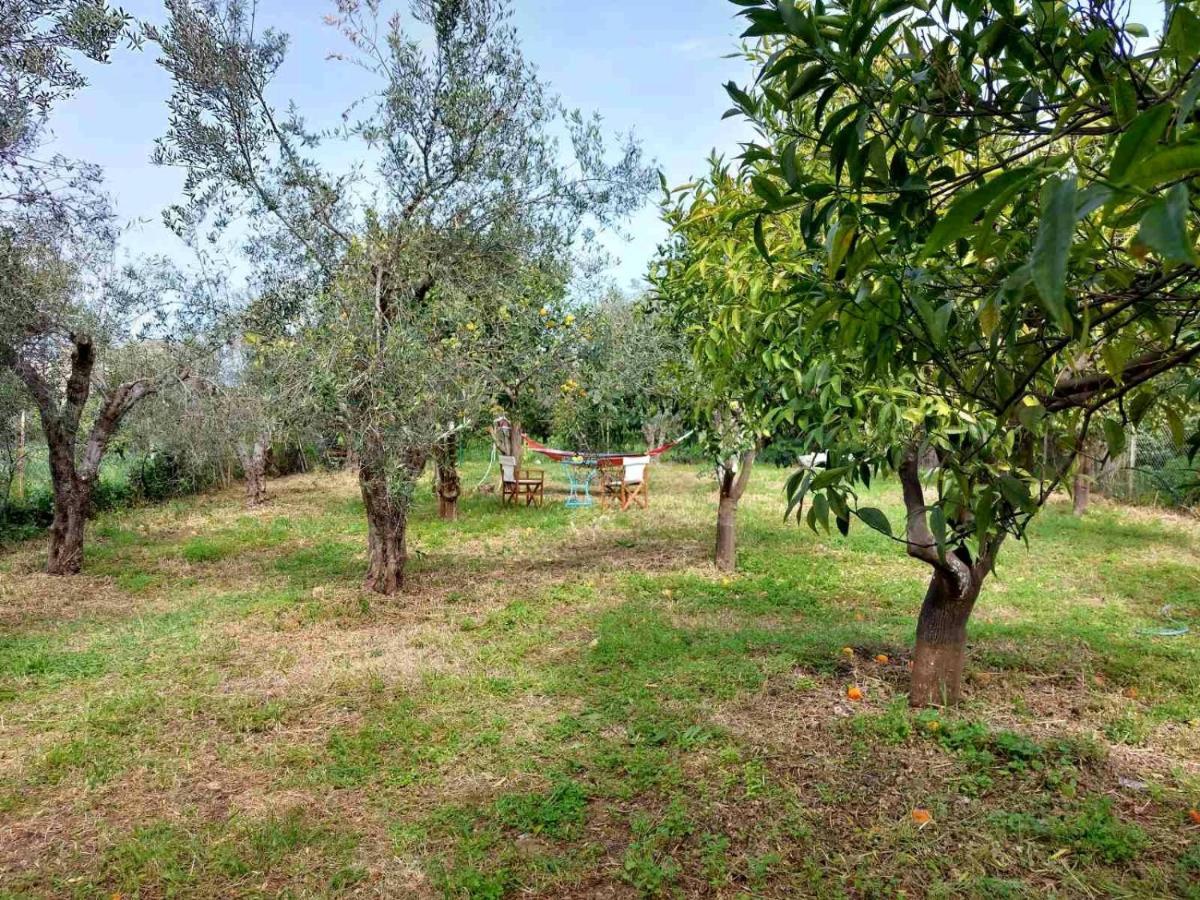הוילה Kamisianá Citrus Tree Garden House מראה חיצוני תמונה
