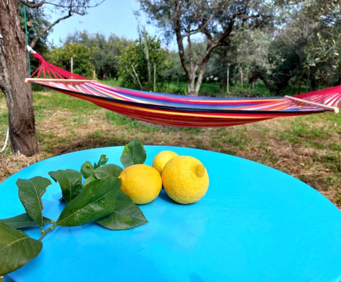 הוילה Kamisianá Citrus Tree Garden House מראה חיצוני תמונה