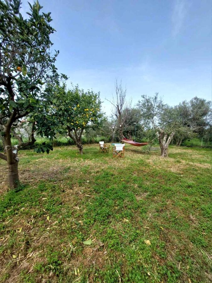 הוילה Kamisianá Citrus Tree Garden House מראה חיצוני תמונה
